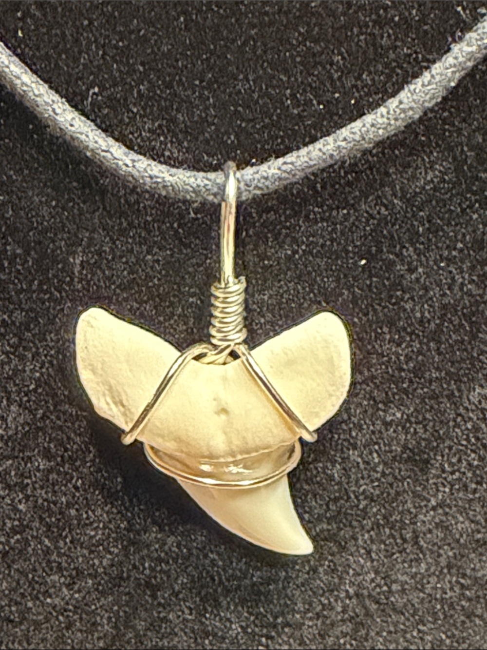 Handcrafted Cream Shark Tooth Pendant Necklace on Black Cord